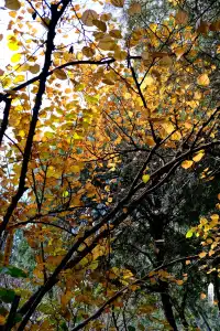 記錄在西安非常喜歡的一些地方