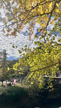 南雄帽子峰不看後悔,11.30無濾鏡!別跑空