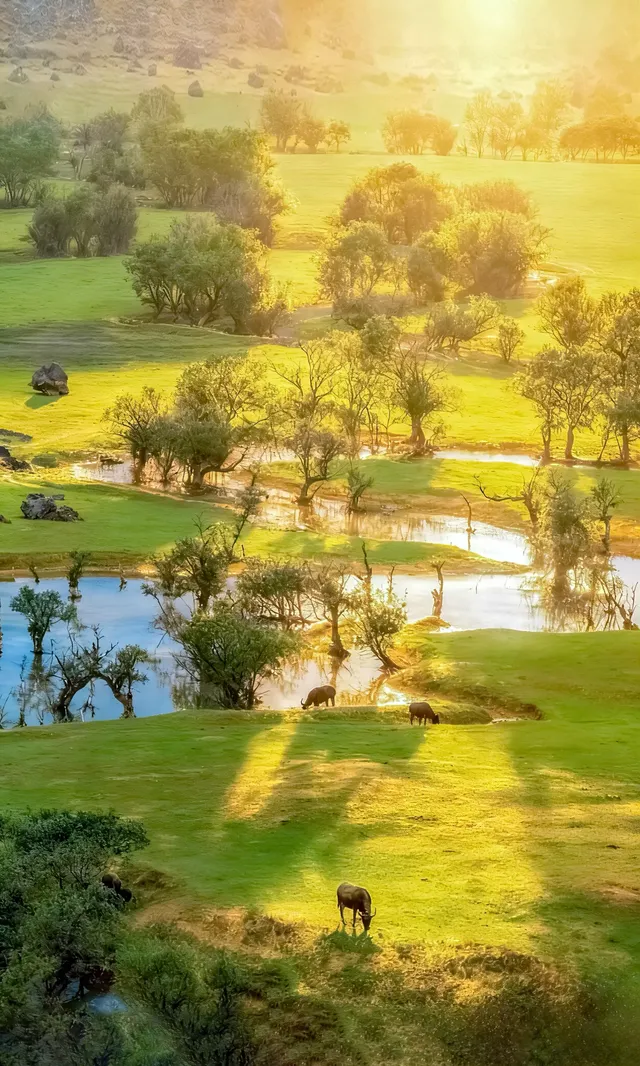 為了這張圖，我特意飛了一次廣西