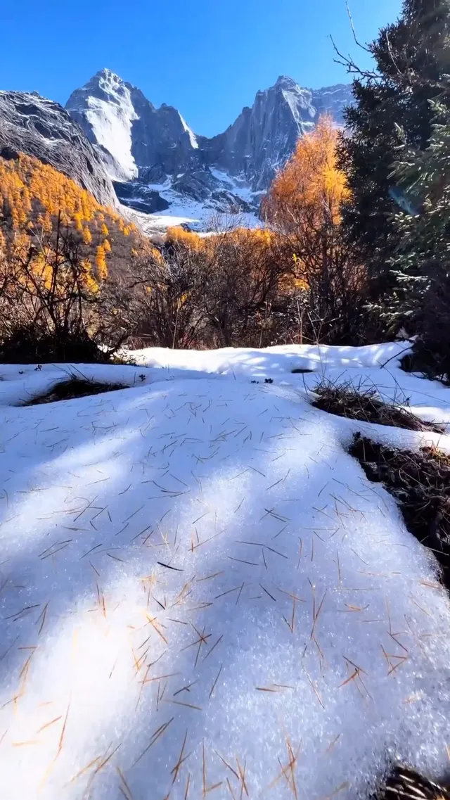 冬季川西四姑娘山稻城亞丁 冬季川西四姑娘山稻城亞丁
