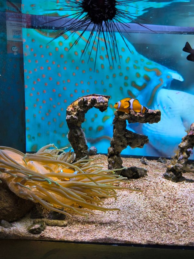 哈爾濱極地公園攻略筆記 哈爾濱極地公園攻略筆記