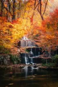連夜來到南京只為拍到這幾張