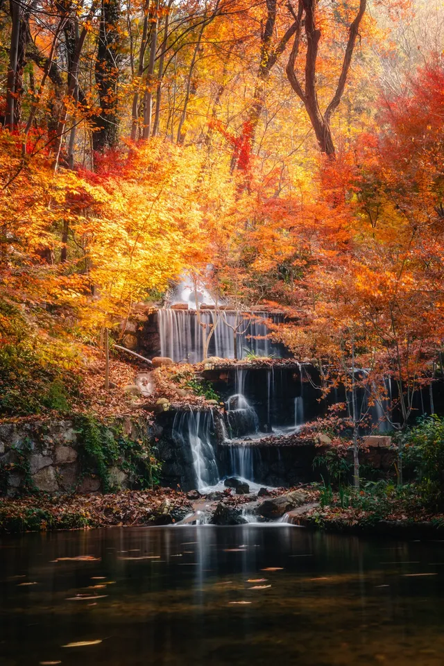 連夜來到南京只為拍到這幾張