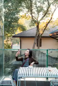 發現了！魔都市區能獨攬銀杏樹的小眾秘境！