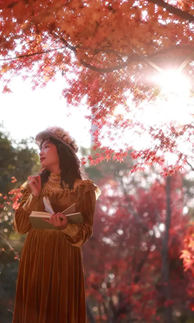 你在人潮擁擠的西湖邊,我在花開海上紅楓自由自在 你在人潮擁擠的西湖邊,我在花開海上紅楓自由自在