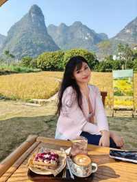 風吹麥浪 小紅書跟風最成功的一次好chill