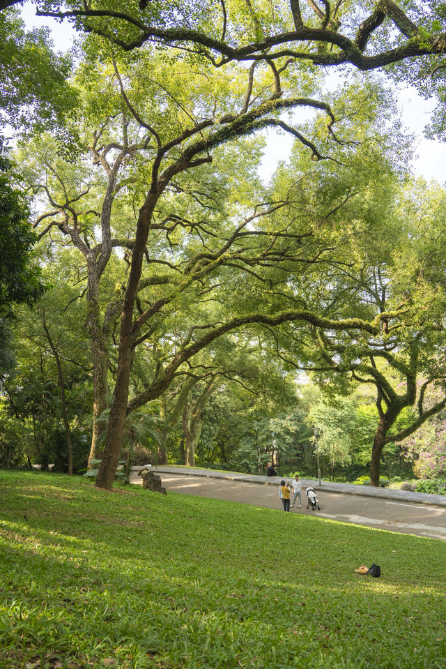 南寧綠野仙蹤的浪漫,來感受這裡的清新綠 南寧綠野仙蹤的浪漫,來感受這裡的清新綠