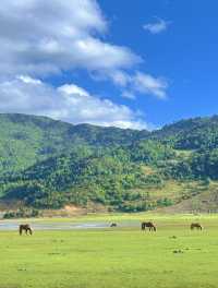 美得不像話雲南麗江也有自己的阿勒泰