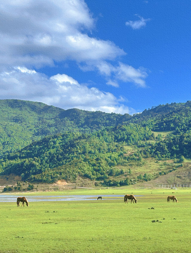 美得不像話雲南麗江也有自己的阿勒泰 美得不像話雲南麗江也有自己的阿勒泰