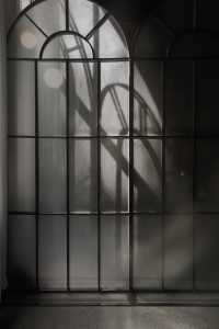 隱居武康路的秋日時光