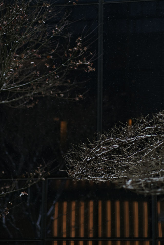 初雪輕吻北京,繪就靜謐詩意畫卷 初雪輕吻北京,繪就靜謐詩意畫卷