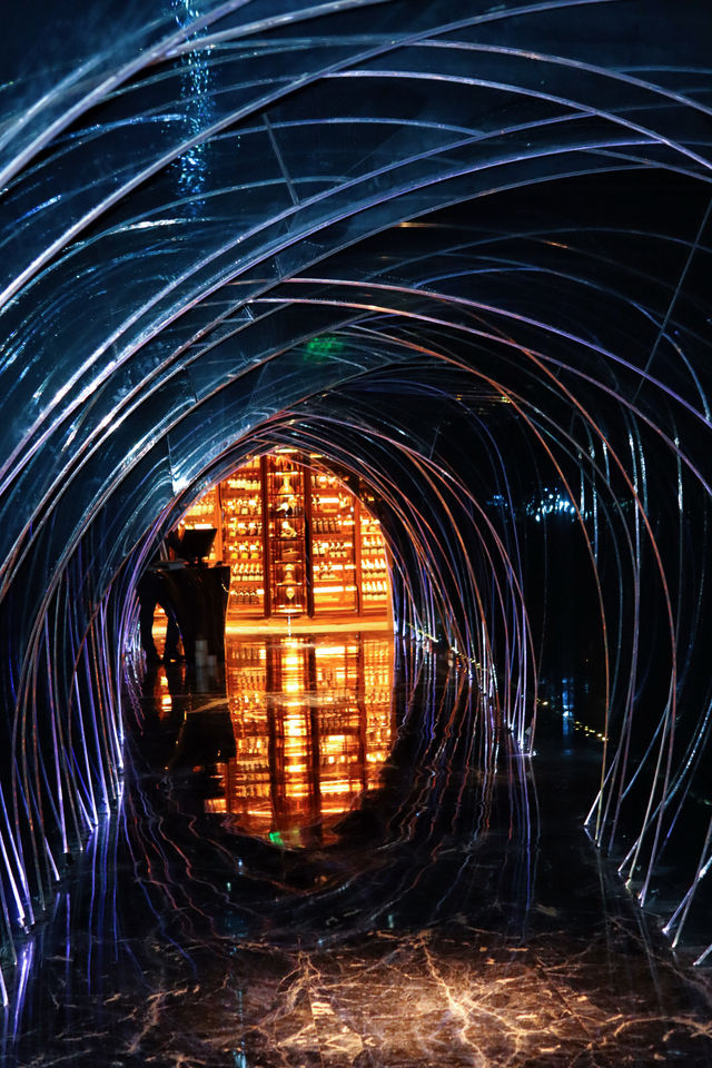 寶麗嘉點亮白冠聖誕樹 寶麗嘉點亮白冠聖誕樹