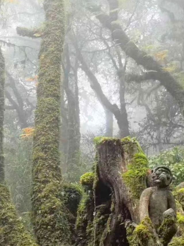 哀牢山元陽梯田徒步指南 哀牢山元陽梯田徒步指南