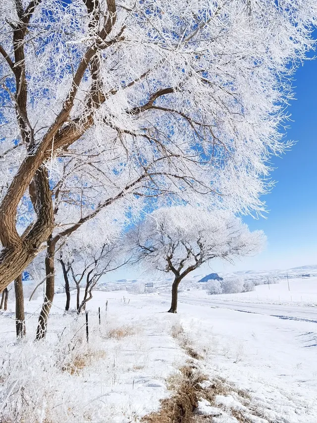 人少雪厚還免門票！烏蘭布統3天2晚全攻略