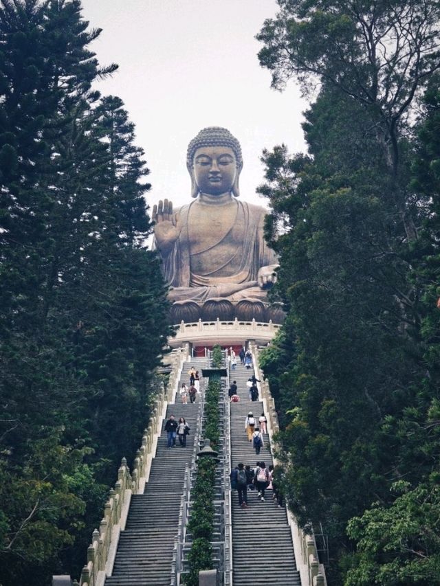 Hong Kong Zen✨ Hong Kong Zen✨