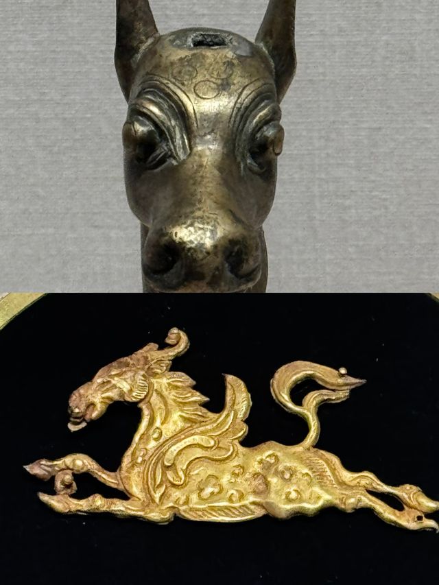 阿勒泰市博物館:揭開新疆的神秘面紗 阿勒泰市博物館:揭開新疆的神秘面紗