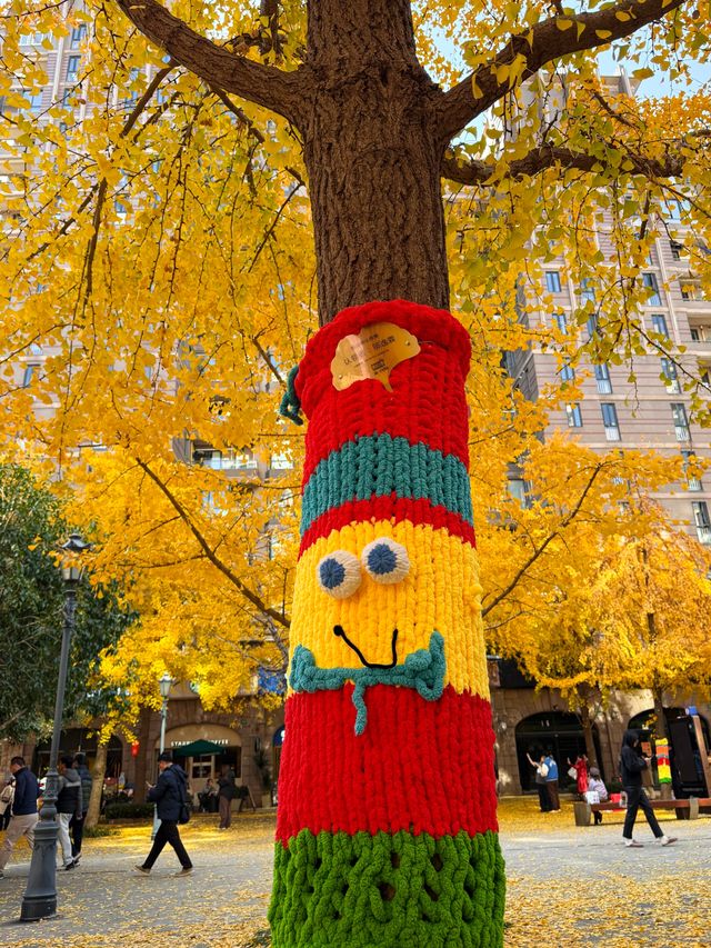 黃金城道步行街觀賞金色趕緊走起