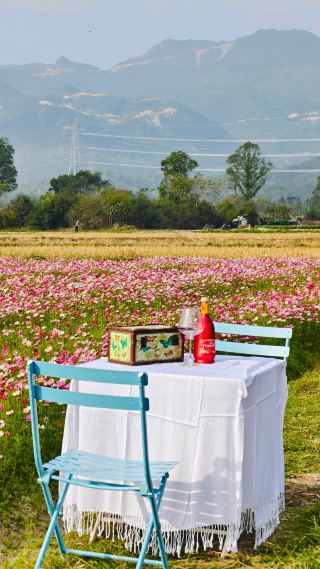 이 꽃바다는 숨이 멎을 정도로 아름다워요