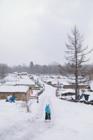 Changbai Mountain West Slope Tianchi Closed? Here’s a Super Detailed Plan B Guide for You!