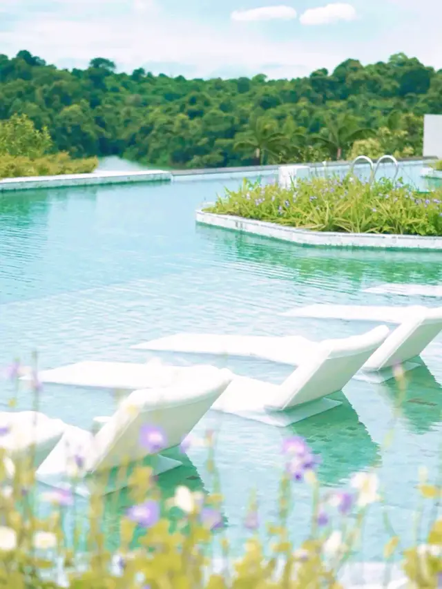 The Real-Life Wizard of Oz: The Ultimate Experience Guide to Banyan Tree Rainforest in Singapore