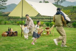 祝日のお出かけ新スポット｜茶園の秘境で親子旅行