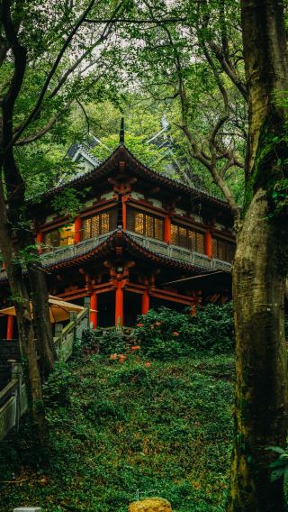 茅山一日ツアー完全攻略