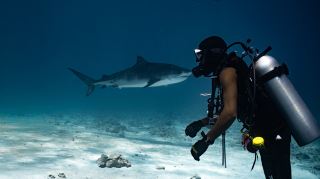 Excellent Diving Experience with PDF in Fuvahmulah