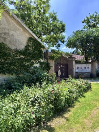 静かな田園の美学｜済寧・泗水に隠された自然と芸術の風景。