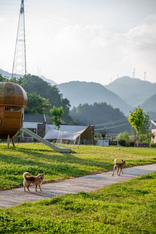 Dragon Boat Festival: Kids & Dogs, Double the Freedom! | Jinzhai Mountain Water Fun: One-Stop Awesome!