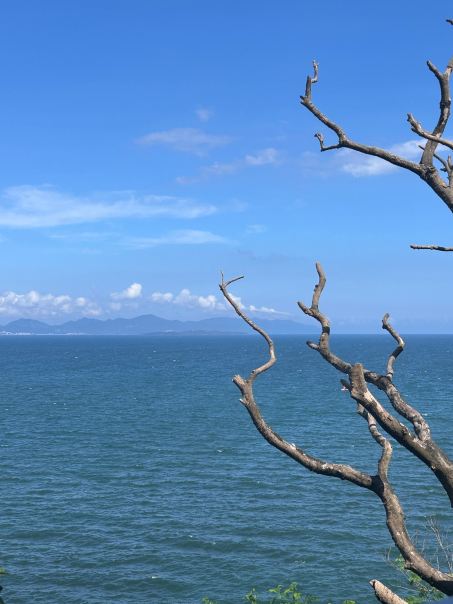 海釣りの聖地背仔角 | Trip.com 深セン