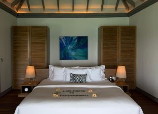 Tropical Bliss with Perfect Comfort