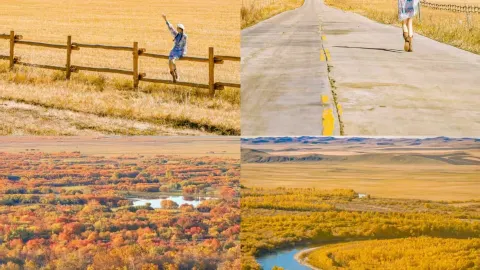 Don't be fooled by summer—Hulunbuir's autumn is its peak beauty — traveler post in Genhe
