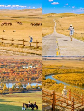 Don't be fooled by summer—Hulunbuir's autumn is its peak beauty