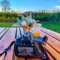 Bliss & Bloom cafe คาเฟ่ดีไซน์สวย กลางทุ่งดอกไม้