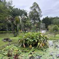 鬧市中的寧靜生態公園