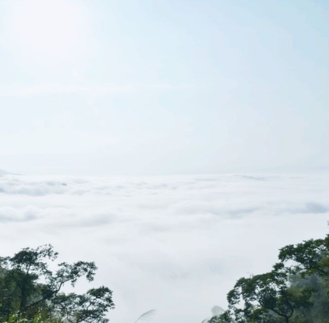 Beautiful sea of clouds and sunset on Alishan