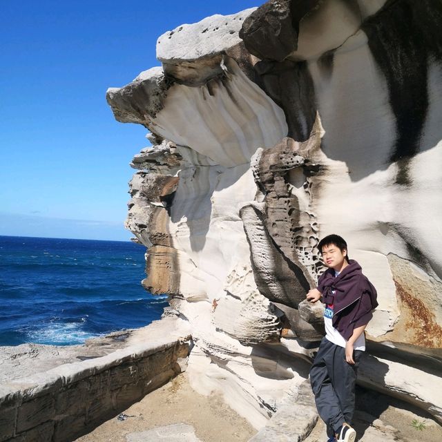 Sydney Bronte-Bondi Coastal Walk