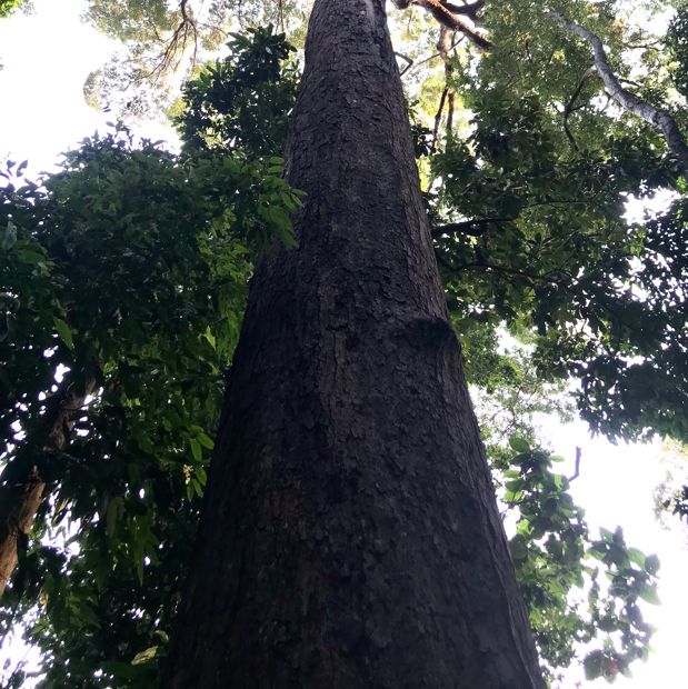อุทยานแห่งชาติหมู่เกาะลันตา กระบี่