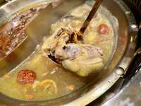 香港探店 劉一手重慶火鍋 (又一城) 