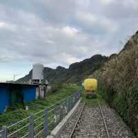 乘坐河豚型自行車，悠閑欣賞台灣美景