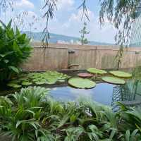 The secret garden in One Utama mall