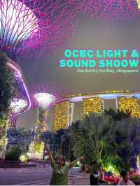 🌸🌼 OCBC Light and Sound Show✨🎇🎆