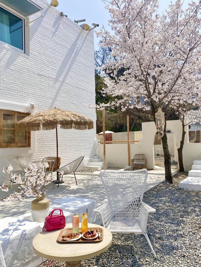  🌸경기도 하남에 있는 발리감성 벚꽃뷰 카페 🌸