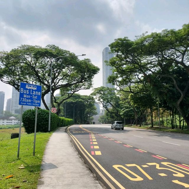 フォトジェニックな街シンガポール🇸🇬