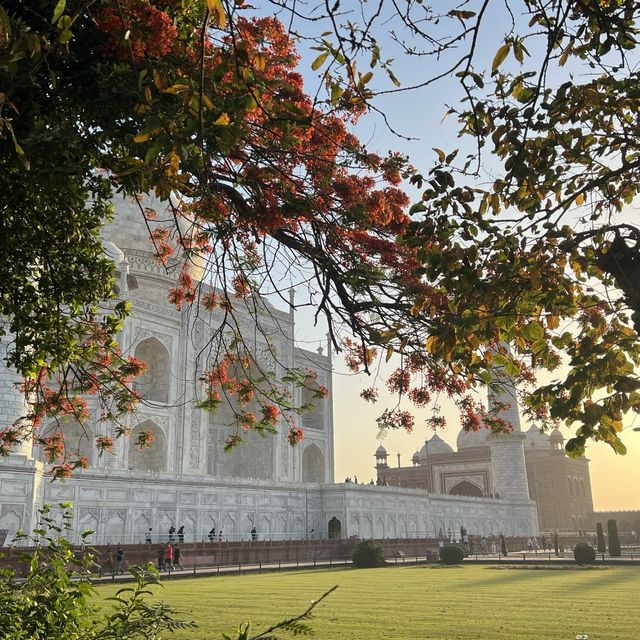 Touch the Taj..