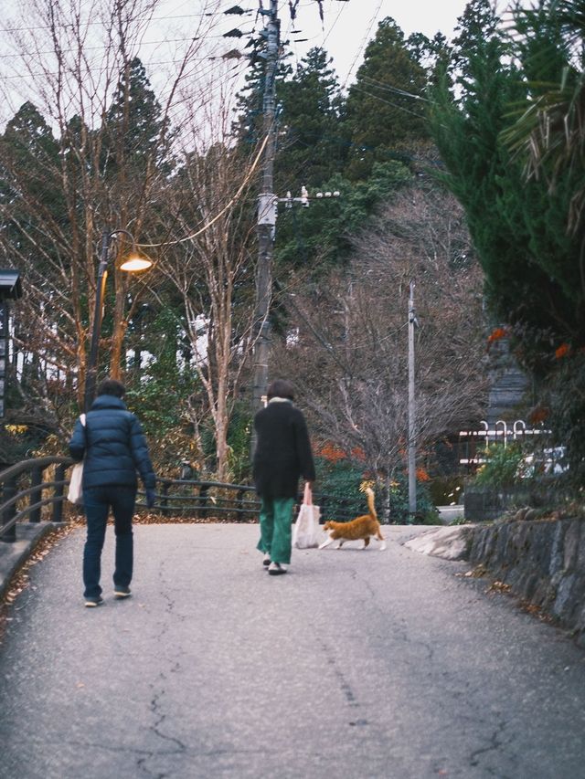 探索日本最美的秘境溫泉｜黑川溫泉