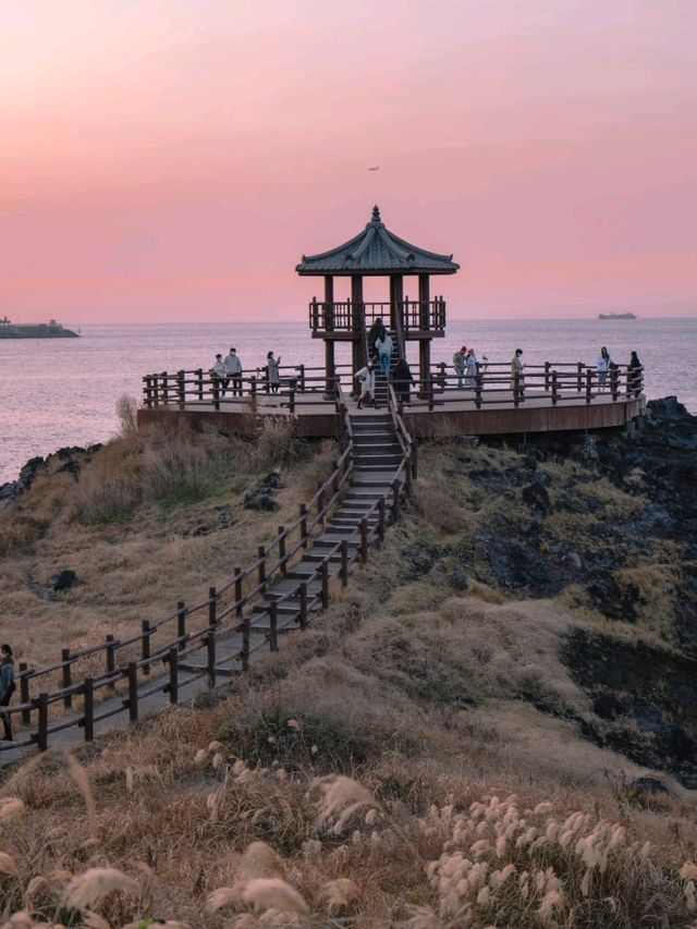 억새풀과 제주바다를 한눈에 볼 수 있는 이곳"닭머르해안길"