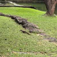 神秘の岩  世界遺産🌍スリランカ🇱🇰シーギリヤ