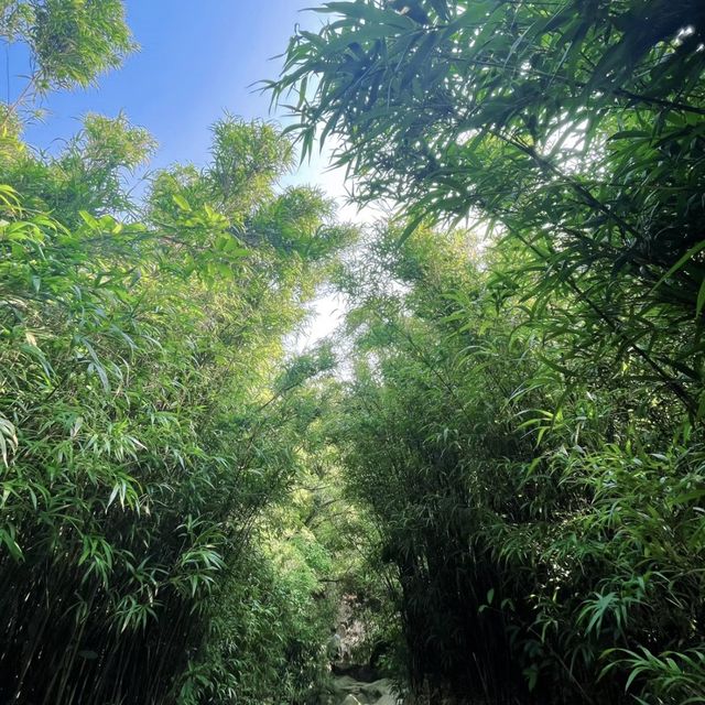 香港行山 - 龍脊 