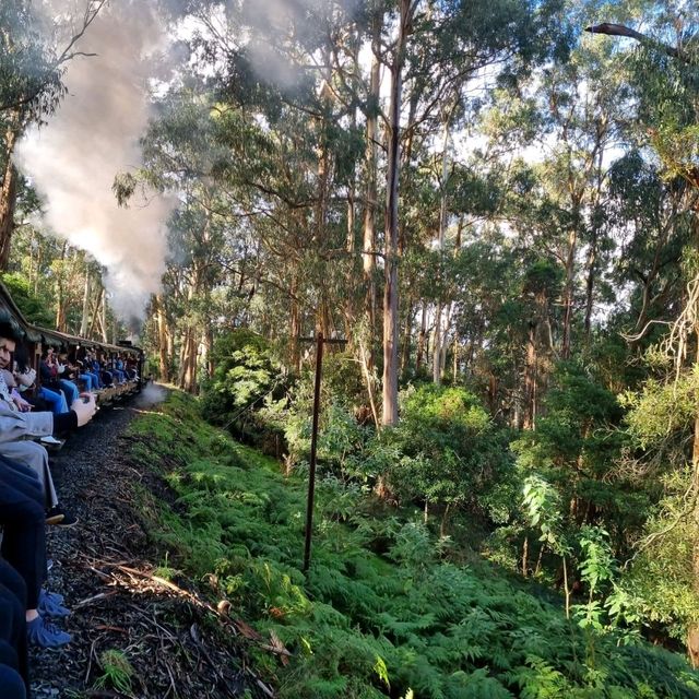 Awesome steam engine train experience 
